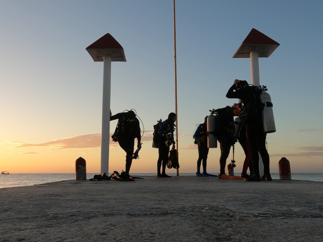 Night and Limited Visibility Diver course